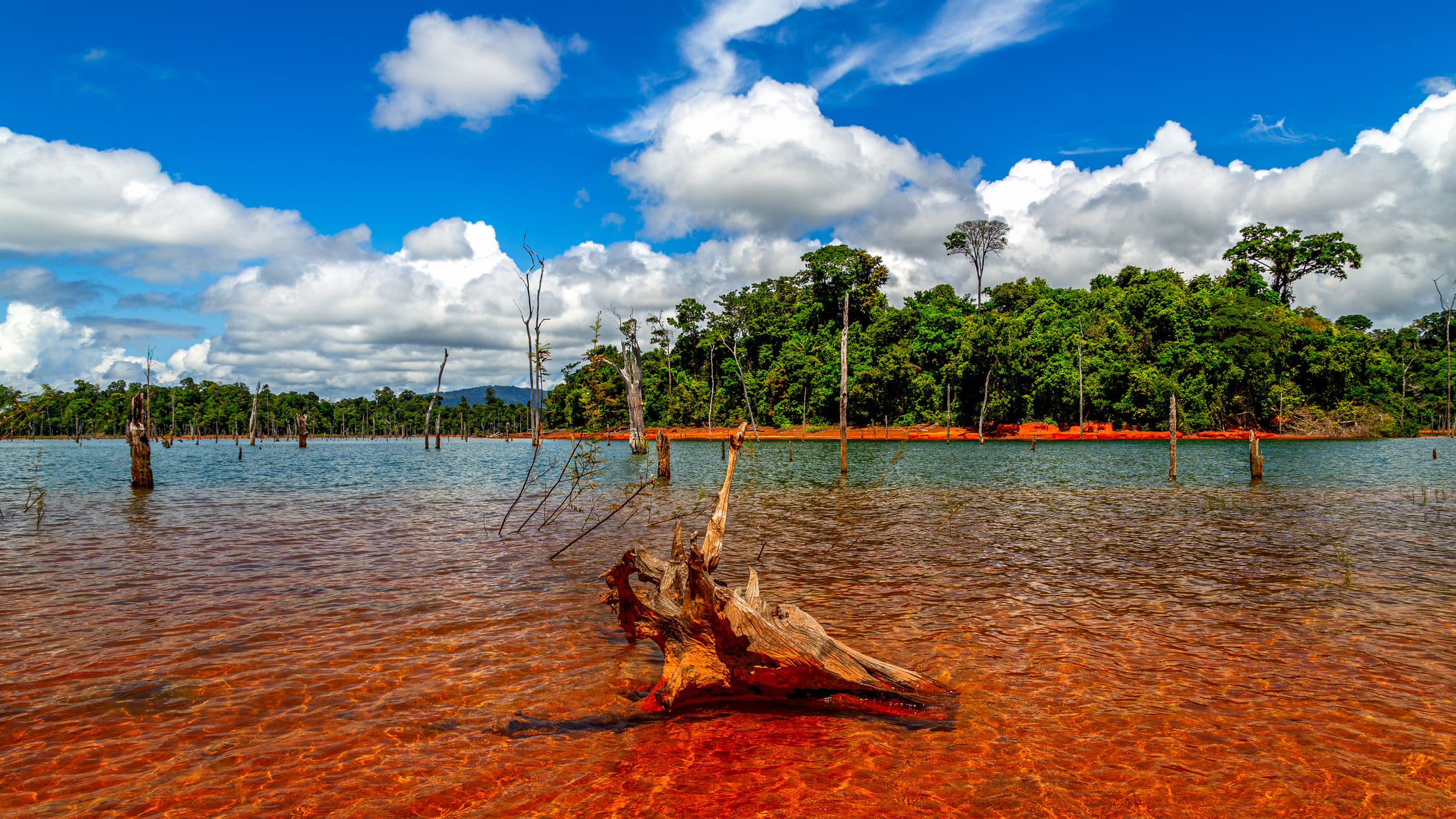 Explore Guyana: Rainforest Adventures and Cultural Gems