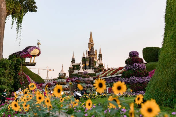 Exploring the Wonders of Dubai Miracle Garden: A Floral Paradise in the Desert