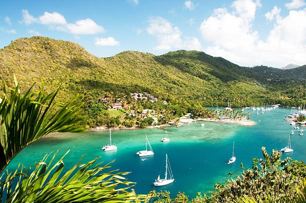 Top 10 Things to Do in Marigot Bay, St. Lucia