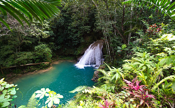 Cool Blue Hole Ocho Rios: Exploring Jamaica’s Hidden Waterfall Paradise