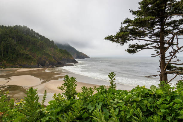 Discovering the Natural Wonders of Devil’s Bay National Park