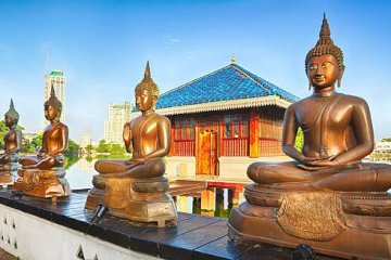 The Annual Festival at Gangaramaya Temple: A Celebration of Sri Lankan Buddhism